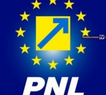 Noul Comitet Local Executiv al PNL Satu Mare