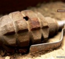 Grenadă din al Doilea Război Mondial, descoperită la Andrid