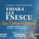 „Vioara lui Enescu”, concert organizat la Satu Mare