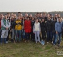 Tinerii social-democraţi au plantat 500 de arbori