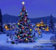 Mesajul de Crăciun al prefectului județului Satu Mare