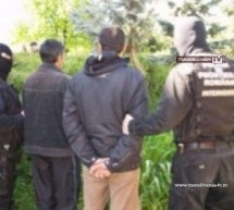 Doi albanezi au vrut să treacă ilegal frontiera în Ungaria