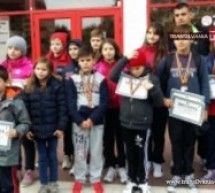 Înotătorii sătmăreni au câștigat 12 medalii la „Cupa Aradului”