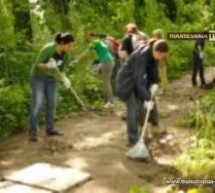 Asociația Stea caută voluntari pentru activităţi de grădinărit