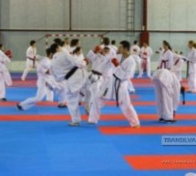 Karateka de la CSM Satu Mare participă la Cupa României