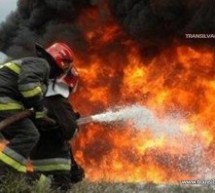 Incendiu la o fermă de pui din Sanislău