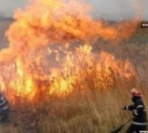 Incendiu de vegetație uscată la Negrești-Oaș