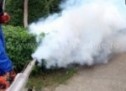 Dezinsecție împotriva țânțarilor în municipiul Satu Mare
