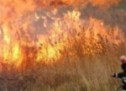 Zece hectare de vegetaţie uscată distruse în incendii