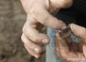 Arheologii sătmăreni şi germani au identificat în cursul zilei de luni, 11 aprilie, un tezaur monetar „surpriză”