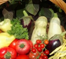 Asociația Stea dă startul la comenzi pentru coșurile de legume (Galerie Foto)