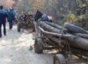 Amendat cu 4.000 lei pentru transport ilegal de lemne