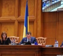 Deputatul sătmărean Ioana Bran susţine internaţionalizarea firmelor româneşti