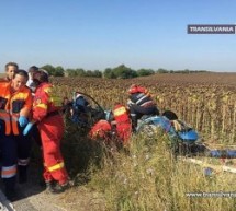Accident cumplit între Carei și Petrești. Două persoane au murit, iar trei au fost rănite.