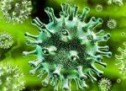 Creștere a numărului de infectări cu coronavirus în județul Satu Mare