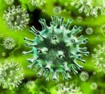 Creștere a numărului de infectări cu coronavirus în județul Satu Mare
