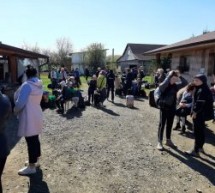 Situația copiilor ucraineni repartizați în unități de învățământ din județul Satu Mare