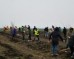 Peste 200 de voluntari au plantat puieți de salcâm în Tiream