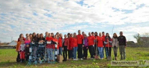 TSD Satu Mare a plantat 50 de copaci în Curtuiuş