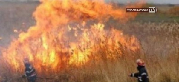 La Huta Certeze au ars trei hectare de vegetație uscată