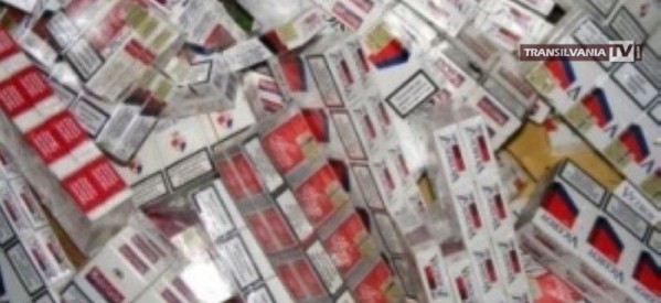 Peste 1.000 pachete țigări de contrabandă confiscate