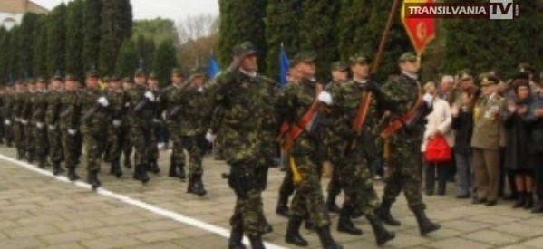 Manifestări dedicate Zilei Armatei României la Carei și Satu Mare
