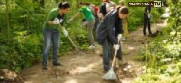 Asociația Stea caută voluntari pentru activităţi de grădinărit