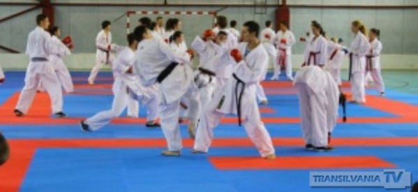 Karateka de la CSM Satu Mare participă la Cupa României