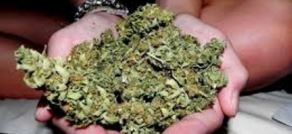 Cetățeni străini prinși cu 500 grame de cannabis la Satu Mare