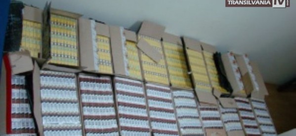 Aproape 7.500 pachete de țigări au fost descoperite la Moișeni
