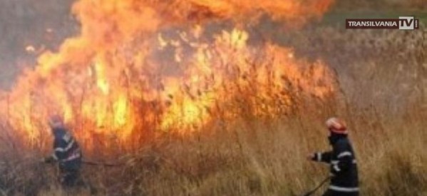Zece hectare de vegetaţie uscată distruse în incendii