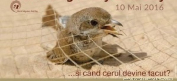 Expoziție cu ocazia Zilei Mondiale a Păsărilor Migratoare