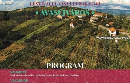 Festivalul Vinului „Bakator” va promova vinurile și zona viticolă Orașu Nou