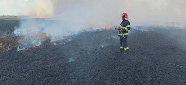 Un lan de grâu a luat foc, între localitățile Tiream și Căuaș