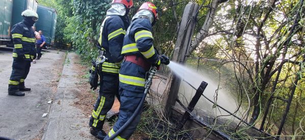 Incendiu de vegetație uscată în județul Satu Mare