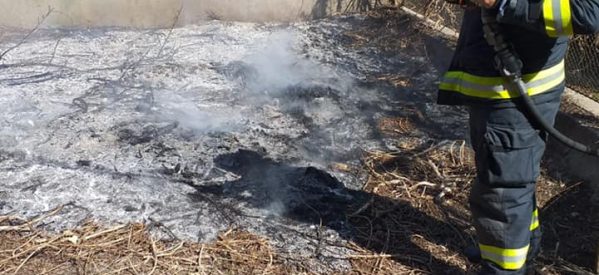 Incendiu de vegetație uscată în Carei