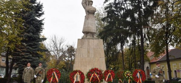 Ziua Armatei Române, sărbătorită și în județul Satu Mare